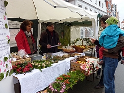 Apfelmarkt 2015 in Oettingne