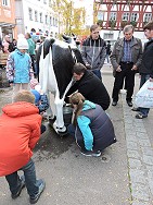 Käsemarkt 2016 - Melkwettbewerb